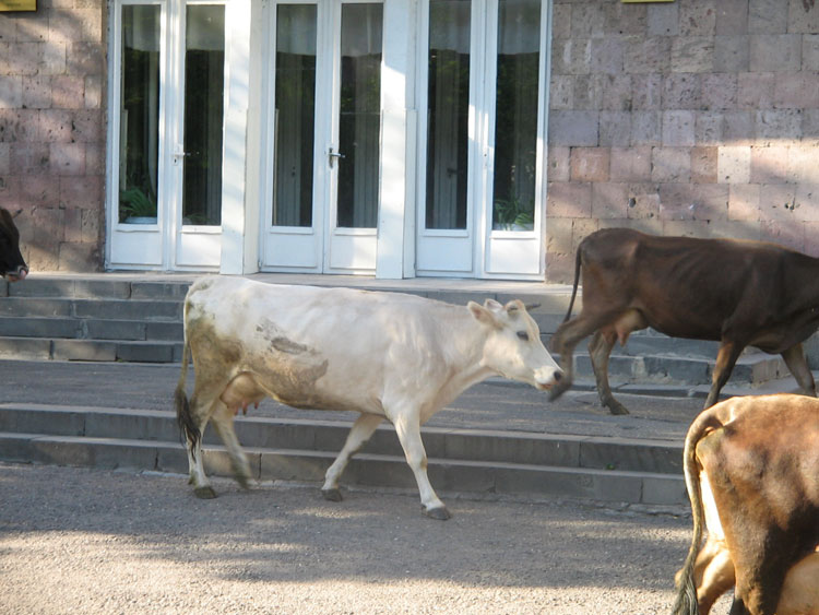 © Seda G. - "Yerevan":( #2