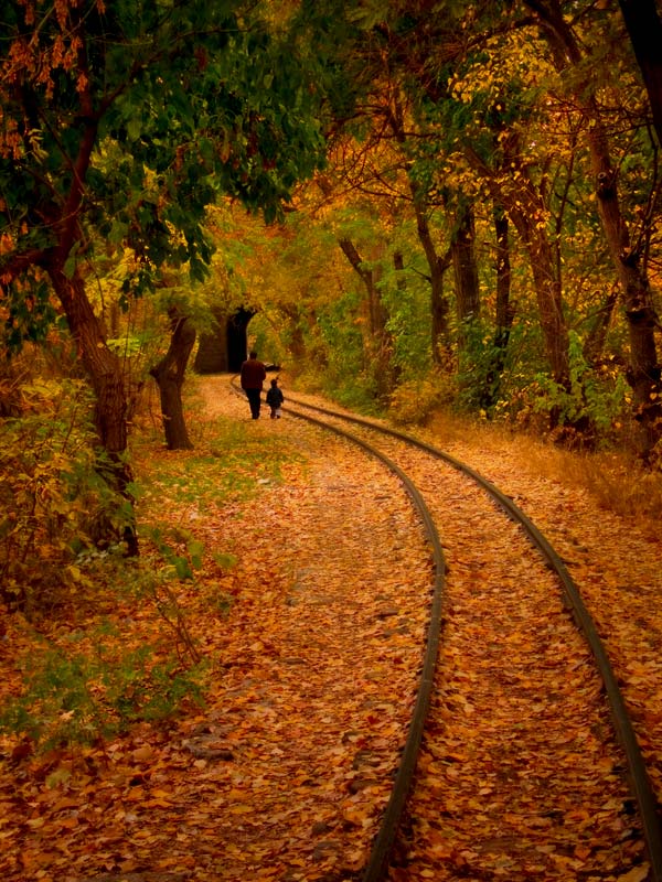 © Aram Avetisyan - в страну сказки