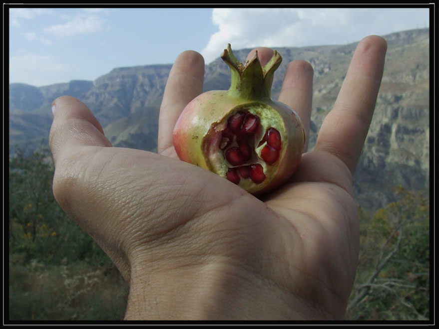 © Hayk - Armenia