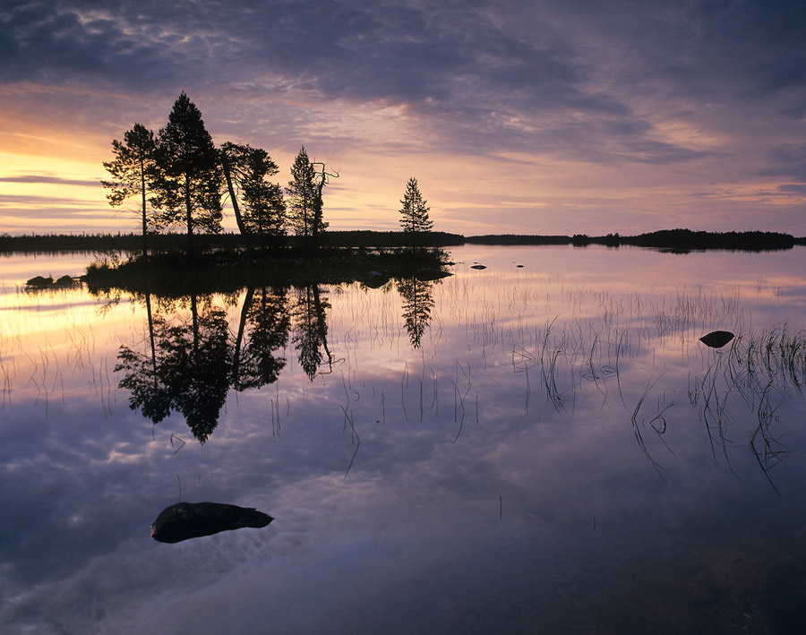 © Dementievskiy Ivan - Про краски северные