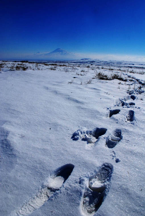 © Davit Hakobyan - Ararat 2