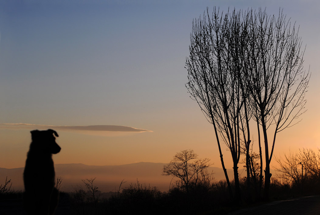 © Lusine Nerkararyan - Natural harmony II