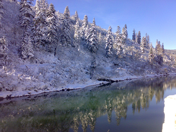 © Shushan Ghazaryan - Winter reflection