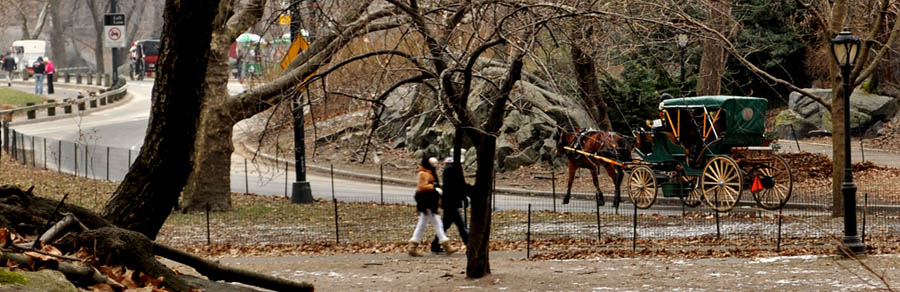 © Kar Kar - Through the Central Park