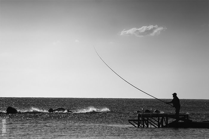 © Emma Grigoryan - the man and the sea