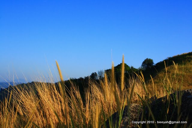 © bieeyah kamal - Broga Hill, Semenyih Kajang Selangor Malaysia