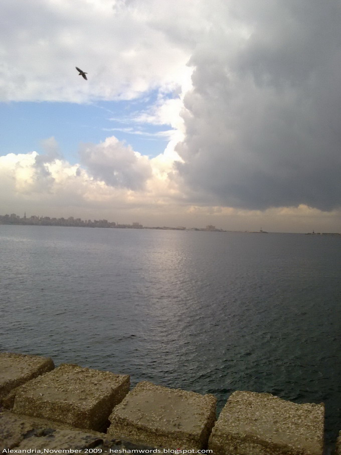 © Hesham Alaa - Alexandria02