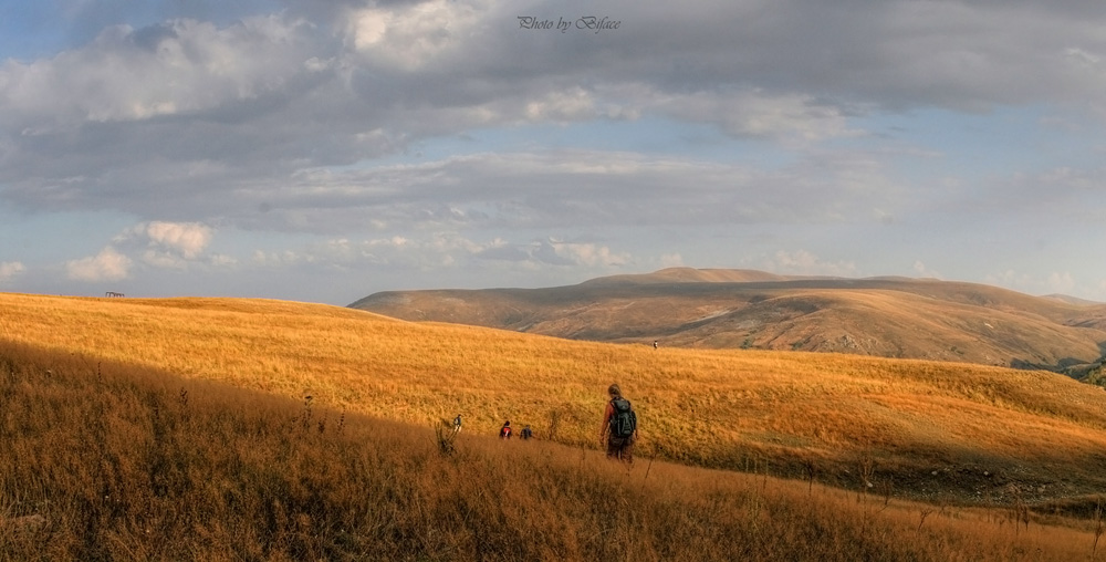 © Tigran Biface Lorsabyan - Afroarmenia