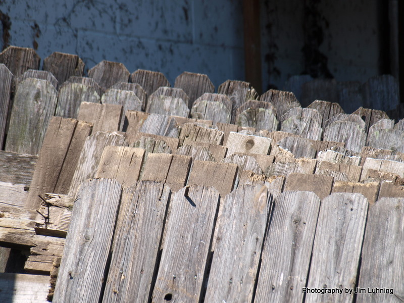 © Jim Luhning - Fence Reunion!