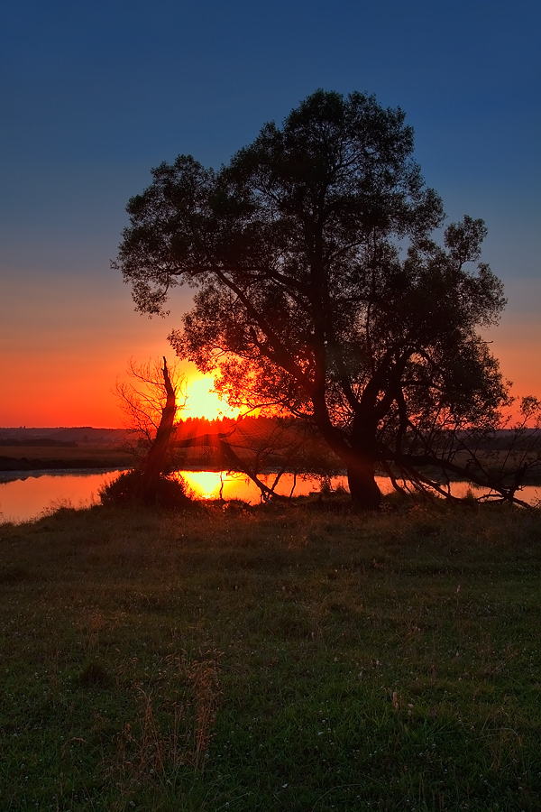 © Oleg Dmitriev - evening pastoral