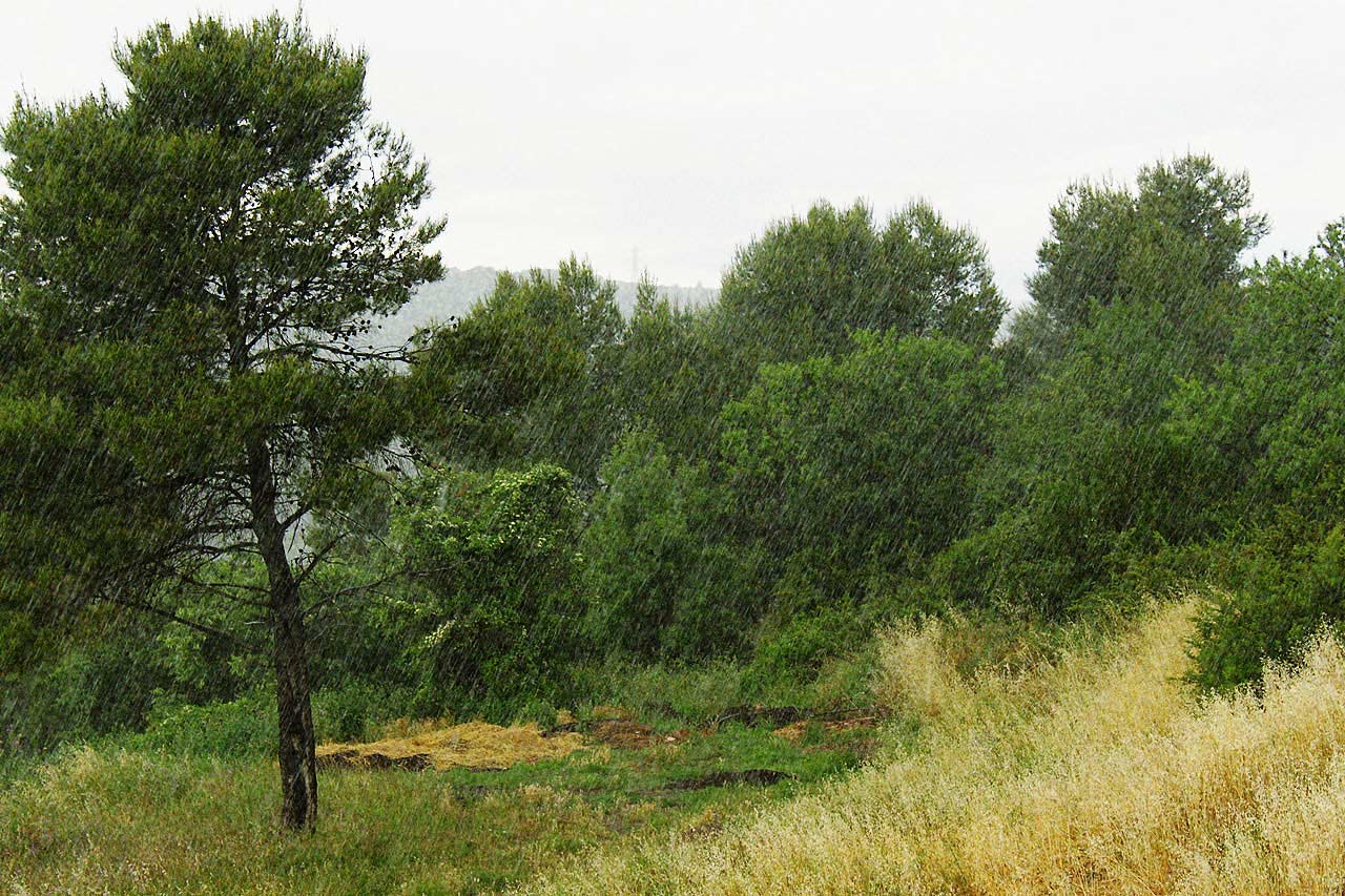 © Hayk Galstyan - Hard rain