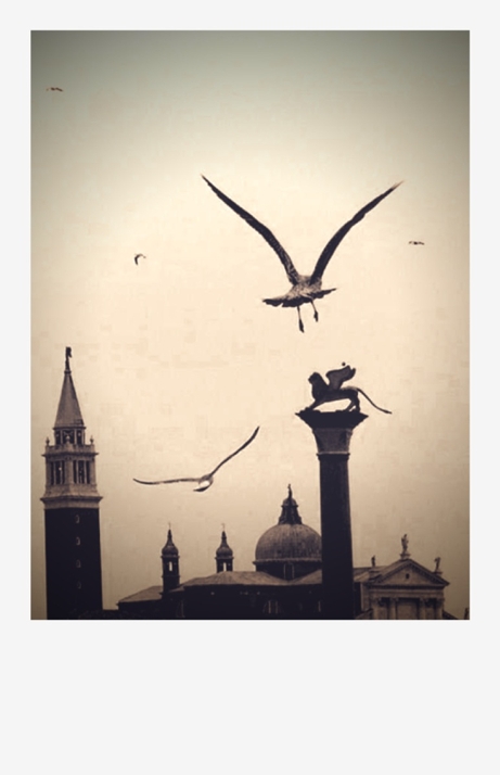 © Levon Hovsepyan | LHows - Fly~ | Venice