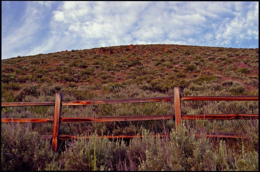 © Heidi Cook - Hillside Fence