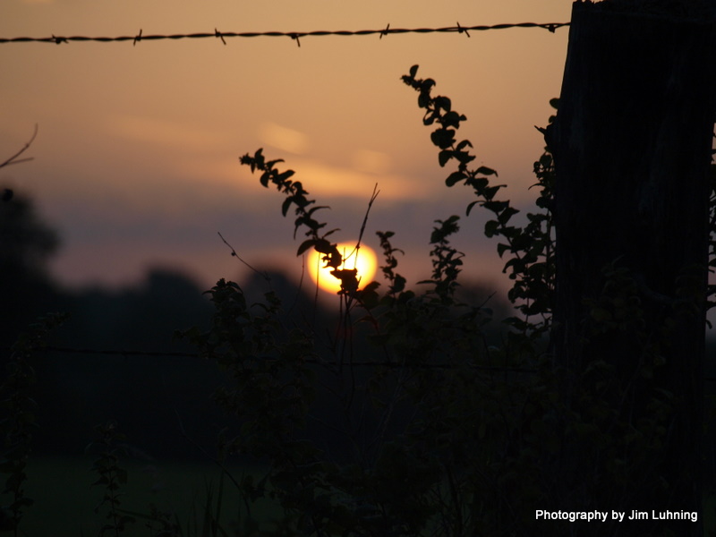 © Jim Luhning - Fence line Silhouette