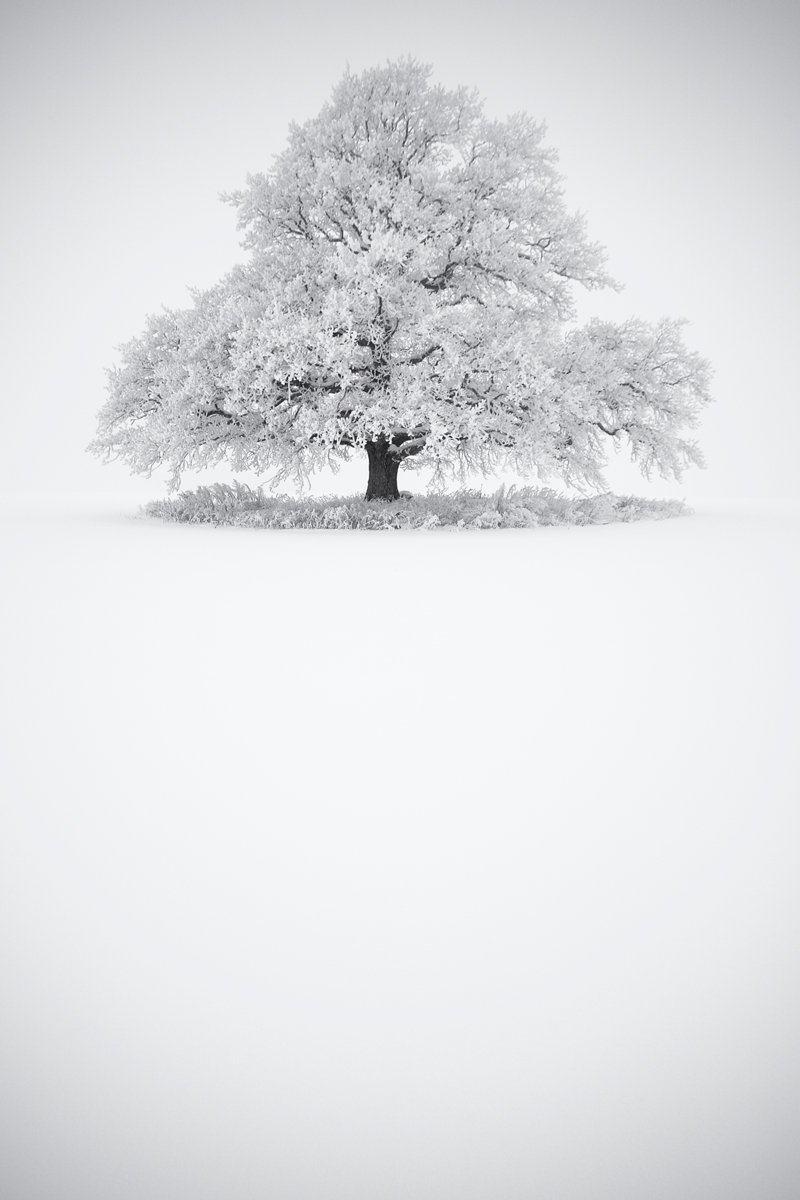 © Erlend Grøseth - Whiteout