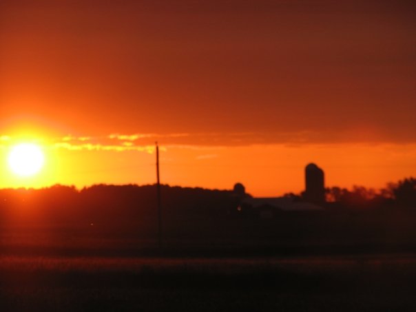 © Sam Bram - Farm morning