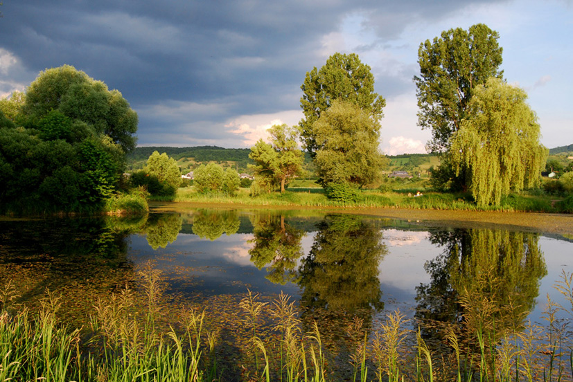 © moldovan marin - Balta lui Nasui