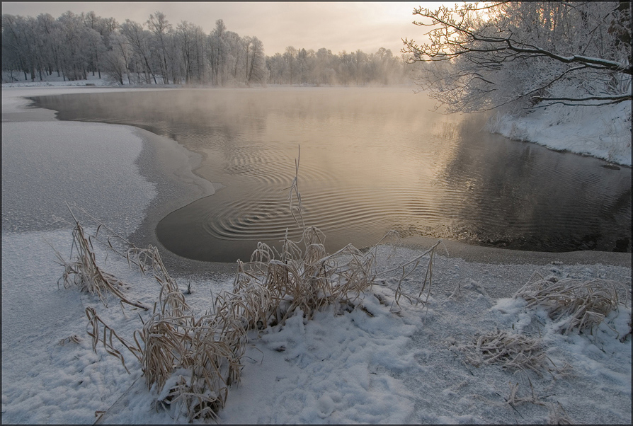 © Роман Носков - Дрожь