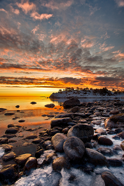 © Tore Heggelund - Hasseltangen