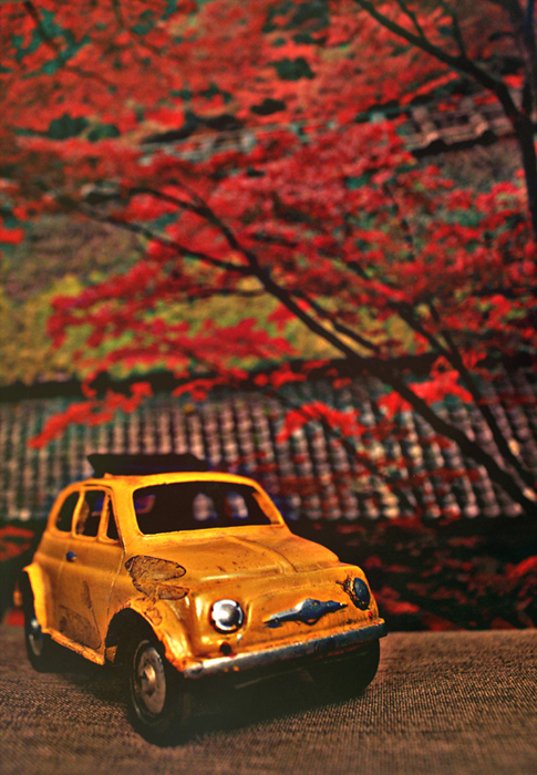 © Narine Baldryan - Fiat 500