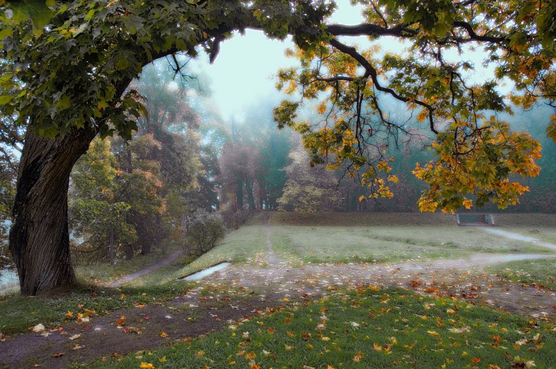 © Роман Носков - Осенняя