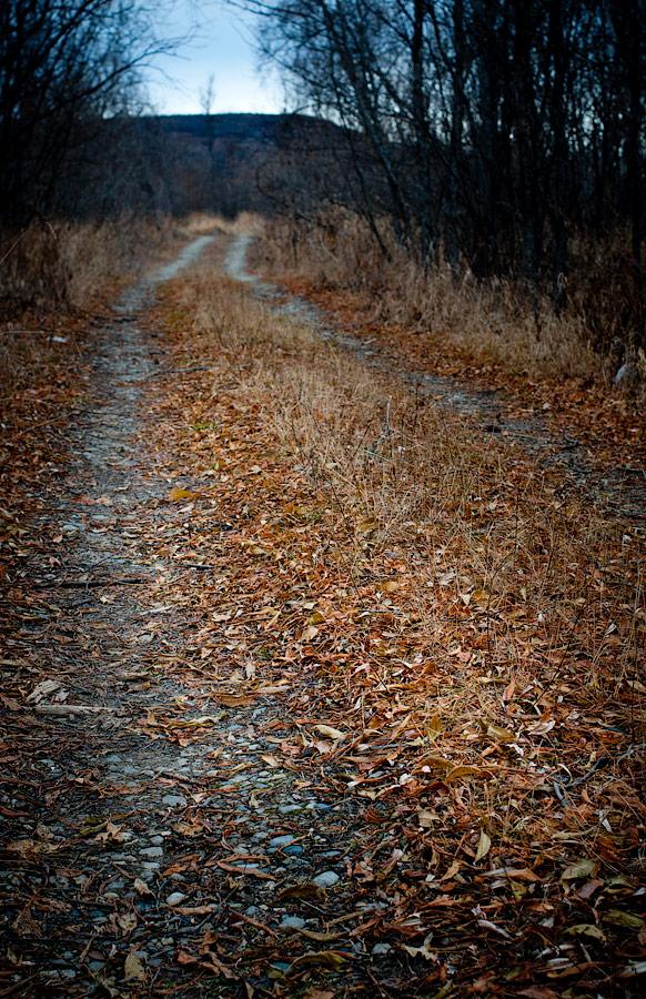 © Evgeny Trufanov - ..roads