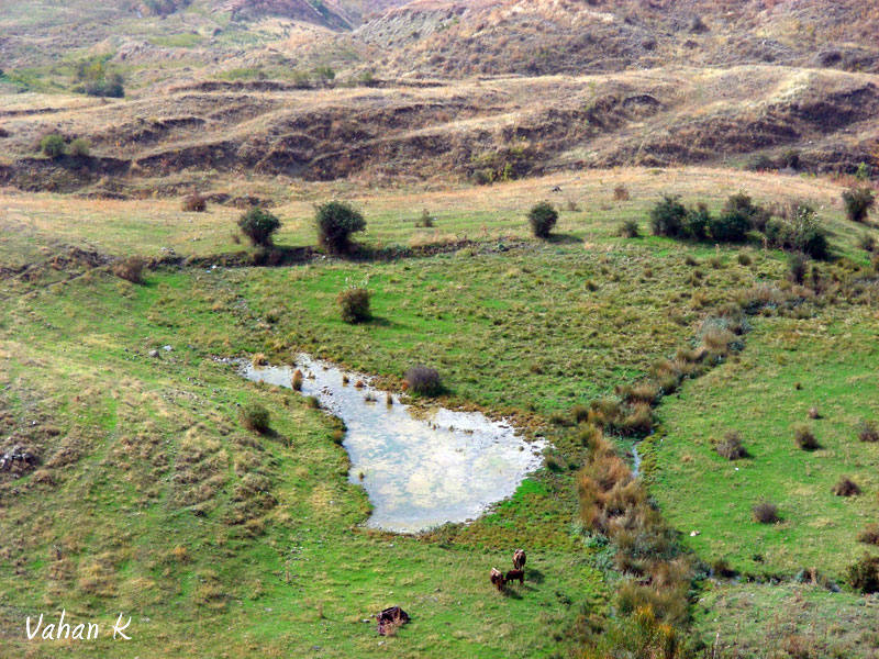 © Vahan Khachatryan - Pasture