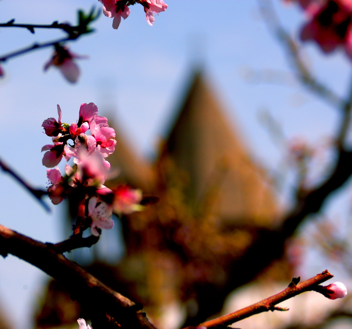 © AVo T.G. - the church