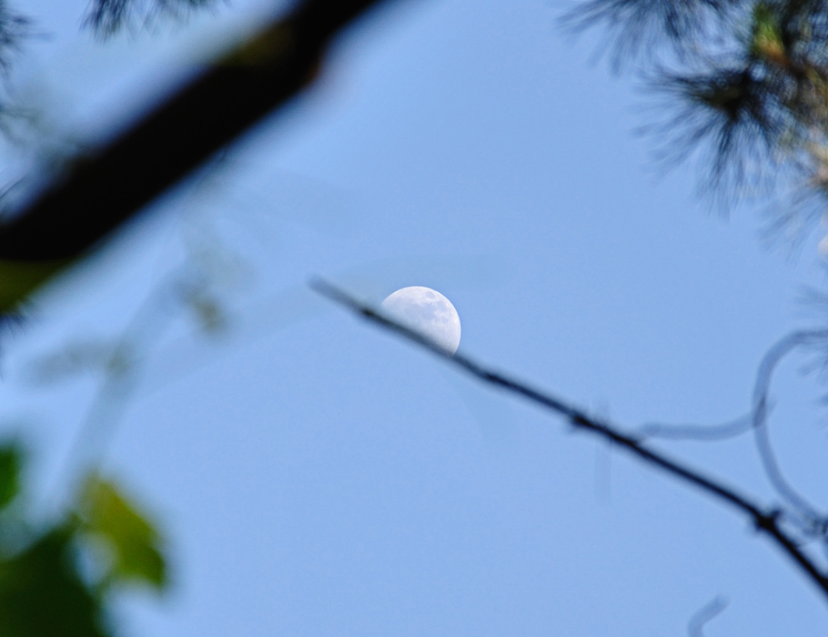 © Khachatur Martirosyan - Half Moon