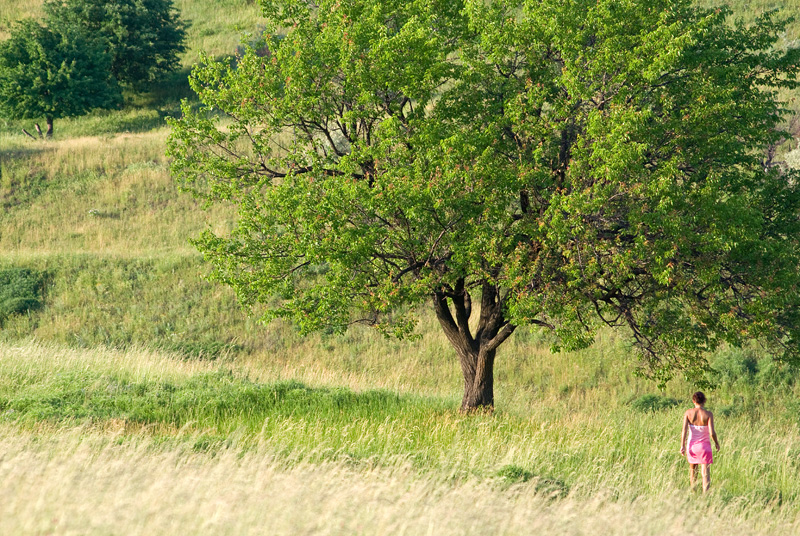 © Dmitry S. Marshavin - she&tree