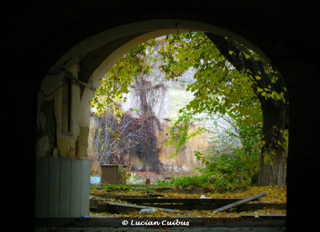 © Lucian Cuibus - Boema Cluj-Napoca