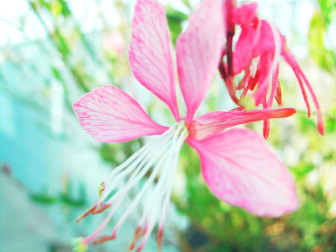 © MyaBe - on terrasse