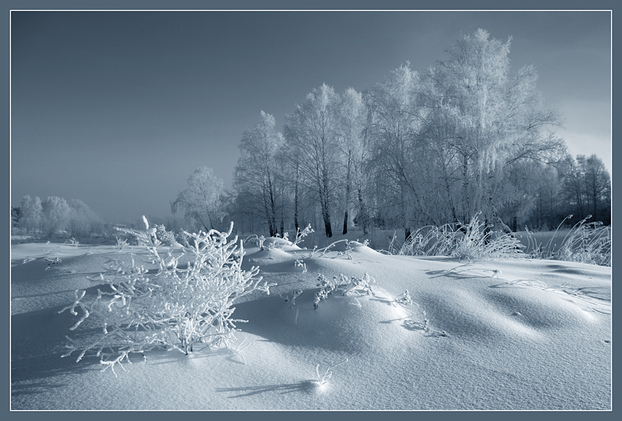 © Валентин Усванов - Морозное утро. (ЧБ)