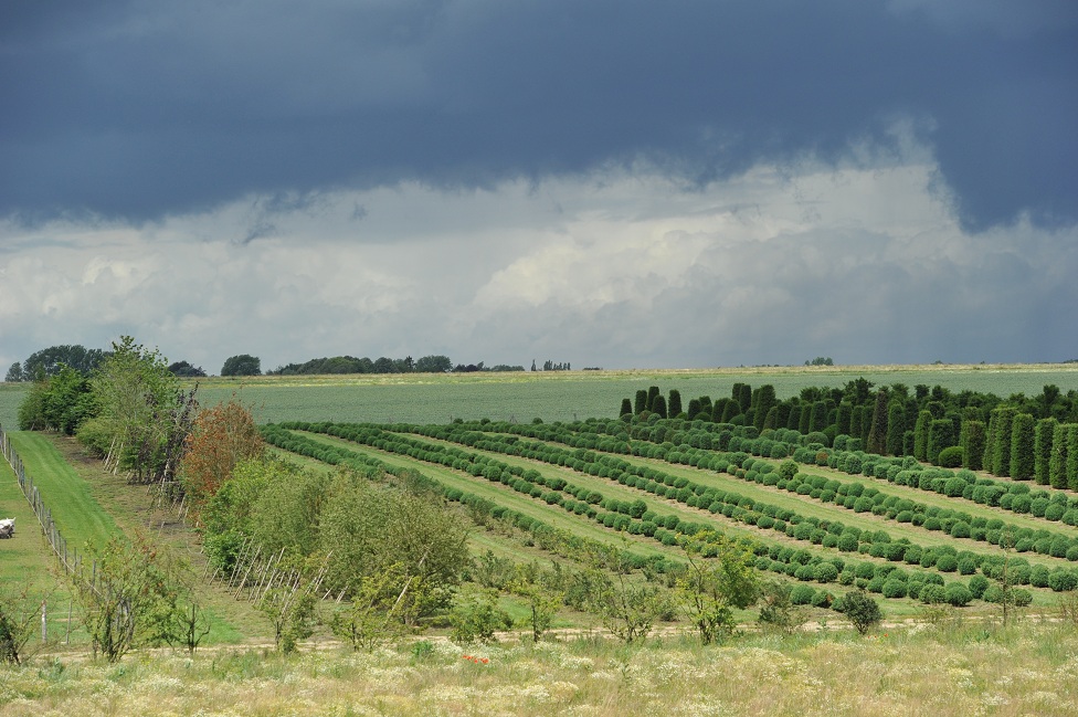 © Franck de Cléville - Field under storm