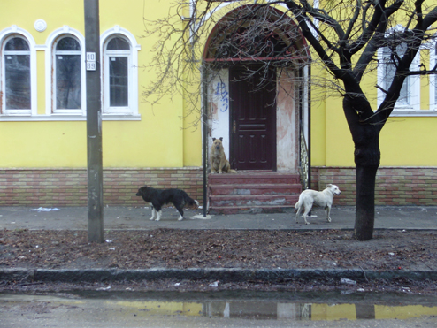 © Sergey Uvarov - Waiting ...