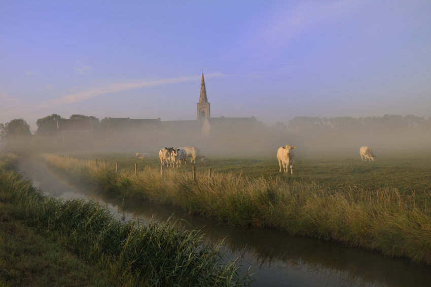 © johny hemelsoen - Foggy morning.