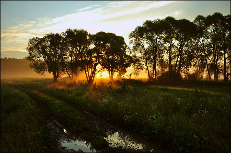 © Roman Shebanov - утренний свет