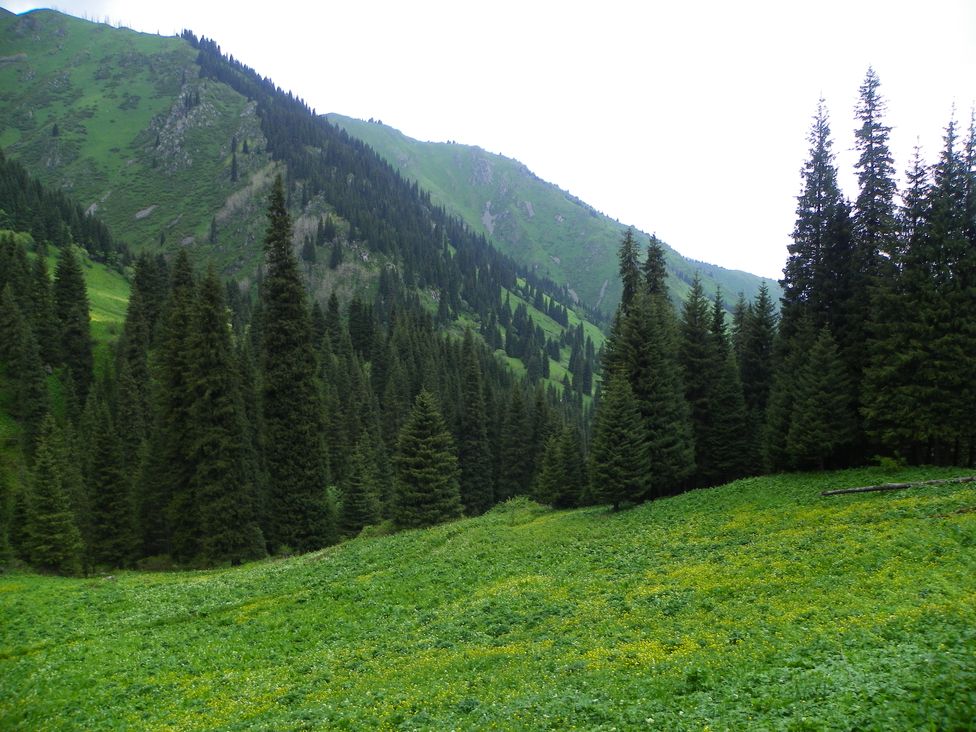 © Евгений Маслобойников - Kazakh Switzerland