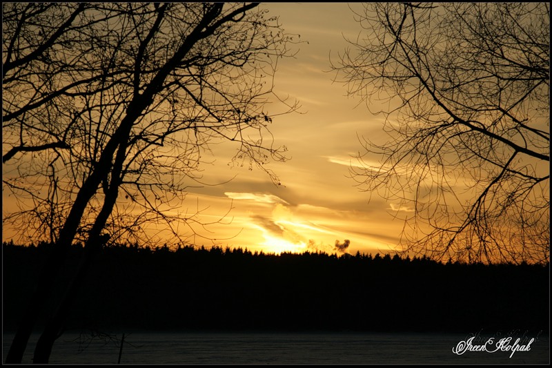 © Ireen Kolpak - gold sunset