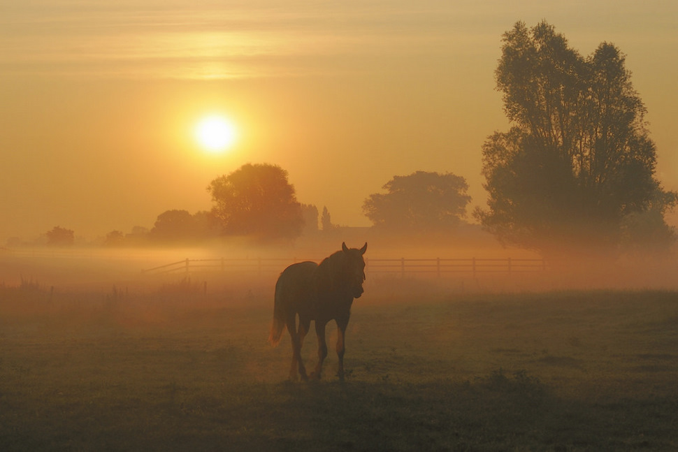 © johny hemelsoen - This morning.