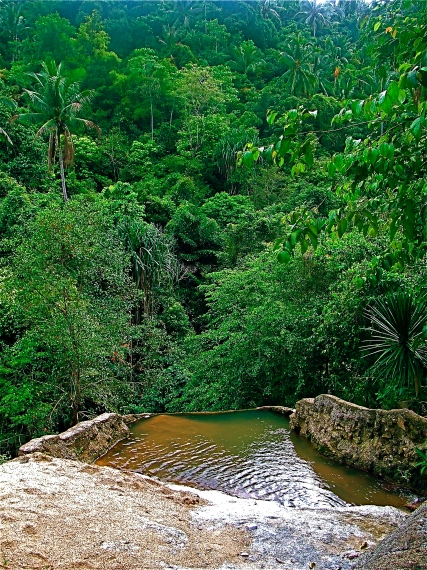 © Shawn Eastman - Nature - Koh Samui, Thailand