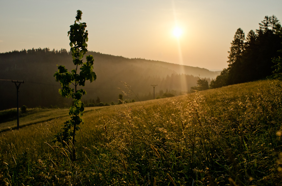 © Gebriel Rafiyev - Morning Nature