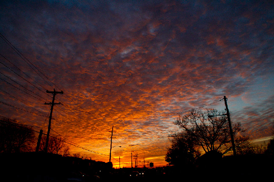 © STEVEN HUMPHREY - my morning walk