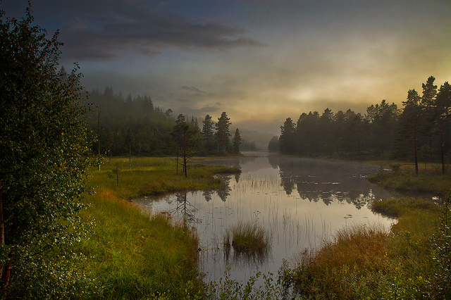 © Tore Heggelund - Flatenfoss