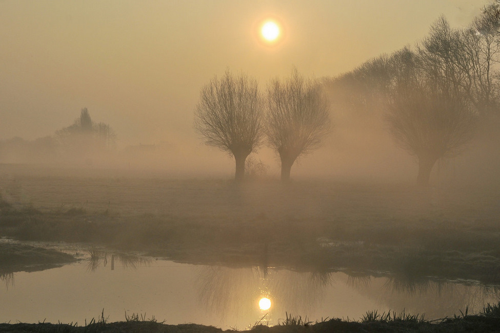 © johny hemelsoen - This morning.