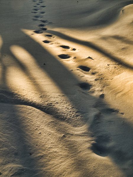 © Jean-Francois Dupuis - Shadow