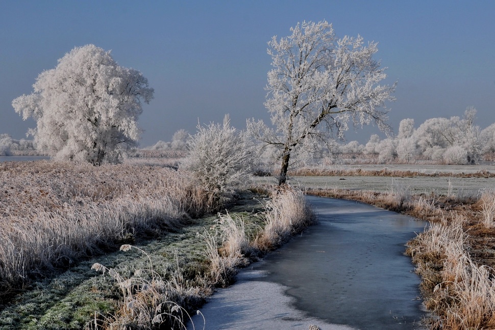 © johny hemelsoen - Wintertime;