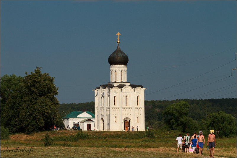 © Kurt Falkenstein - обыкновения