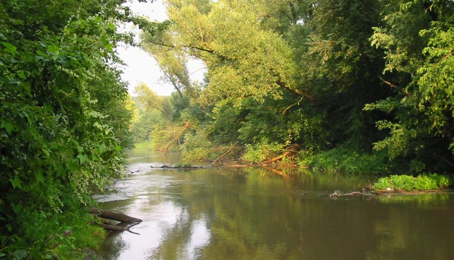 © Andrew Harutyunian - Devitsa river. Voroneg region