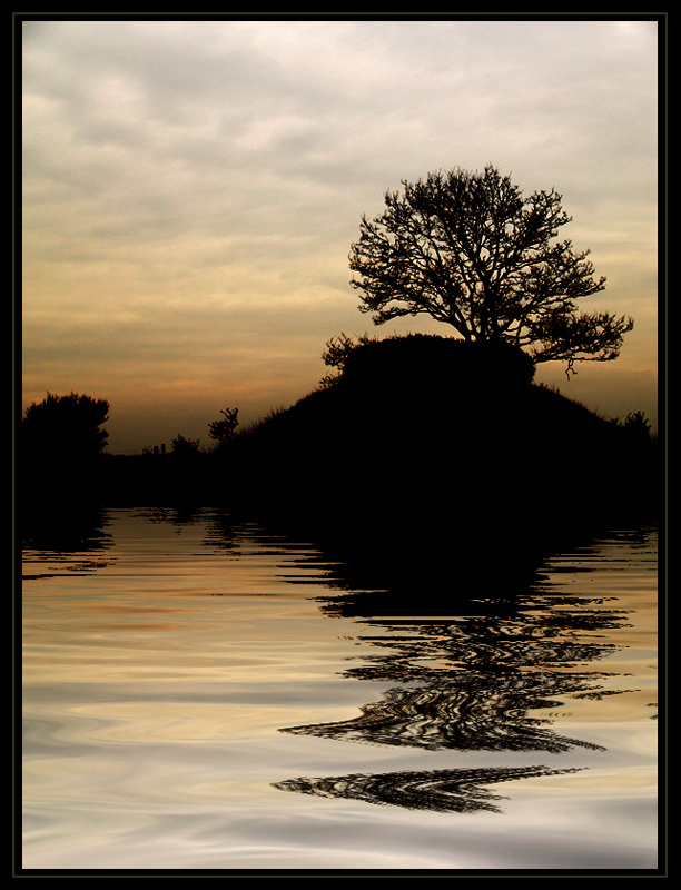 © Stephen Fenstov - The Tree on the Hill